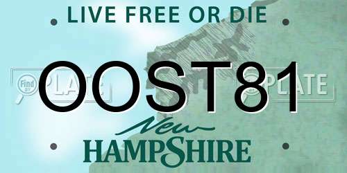 OOST81 New Hampshire License Plate