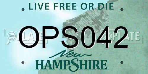 OPS042 New Hampshire License Plate