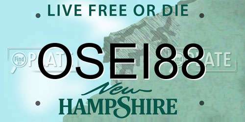 OSEI88 New Hampshire License Plate