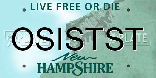 OSISTST New Hampshire License Plate