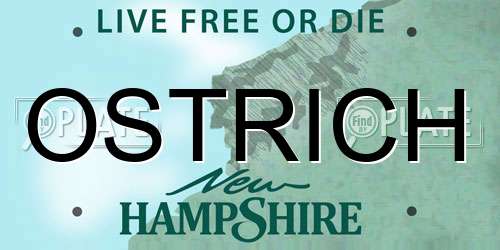 OSTRICH New Hampshire License Plate