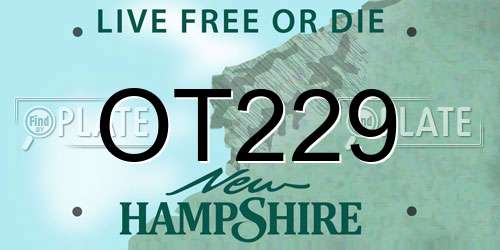 OT229 New Hampshire License Plate