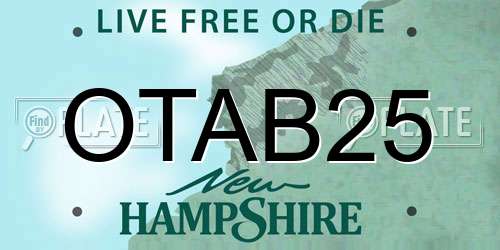 OTAB25 New Hampshire License Plate