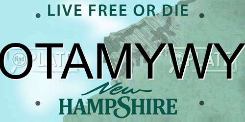 OTAMYWY New Hampshire License Plate