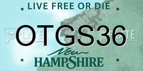 OTGS36 New Hampshire License Plate