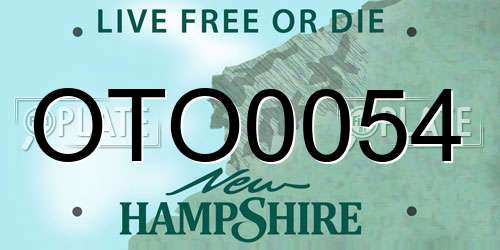 OTO0054 New Hampshire License Plate