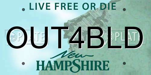 OUT4BLD New Hampshire License Plate