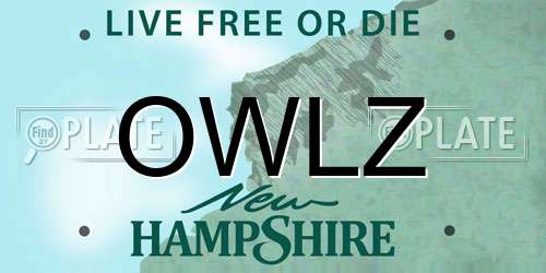 OWLZ New Hampshire License Plate