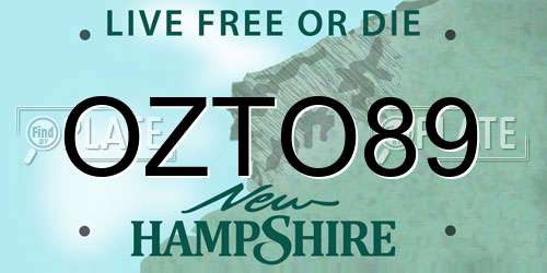 OZTO89 New Hampshire License Plate