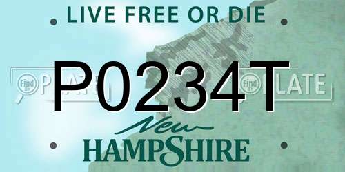 P0234T New Hampshire License Plate