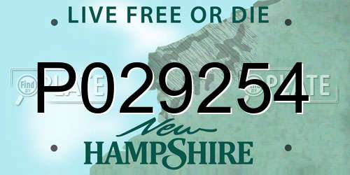 P029254 New Hampshire License Plate