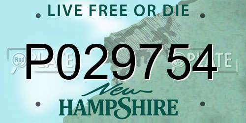 P029754 New Hampshire License Plate
