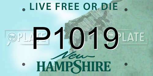 P1019 New Hampshire License Plate
