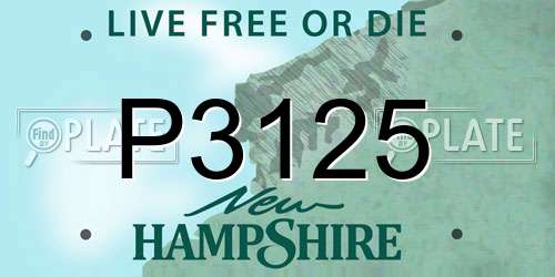P3125 New Hampshire License Plate