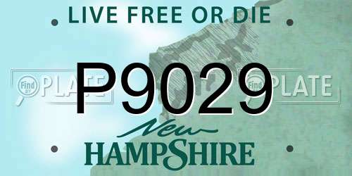 P9029 New Hampshire License Plate