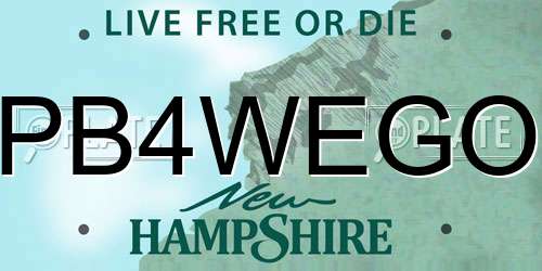 PB4WEGO New Hampshire License Plate