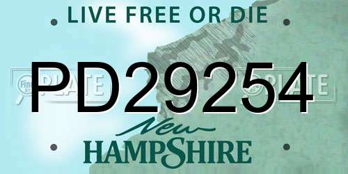 PD29254 New Hampshire License Plate