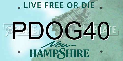 PDOG40 New Hampshire License Plate