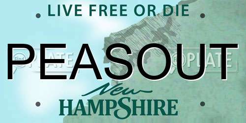 PEASOUT New Hampshire License Plate