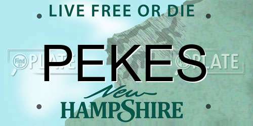PEKES New Hampshire License Plate