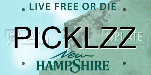 PICKLZZ New Hampshire License Plate