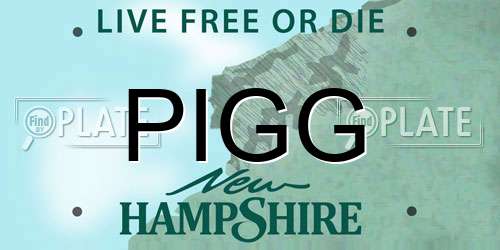 PIGG New Hampshire License Plate