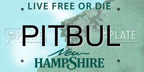 PITBUL New Hampshire License Plate