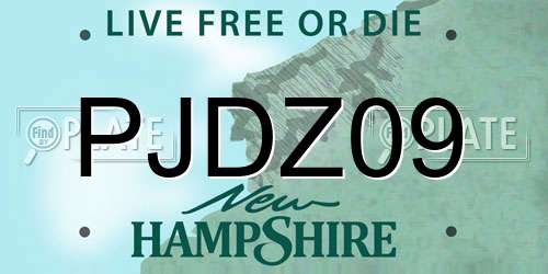 PJDZ09 New Hampshire License Plate