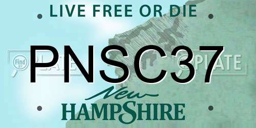 PNSC37 New Hampshire License Plate