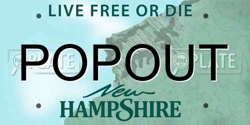 POPOUT New Hampshire License Plate