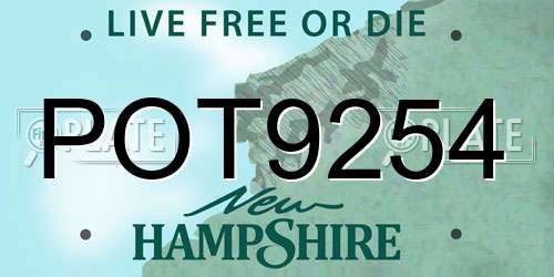 POT9254 New Hampshire License Plate