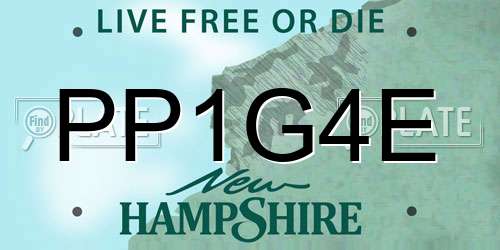 PP1G4E New Hampshire License Plate