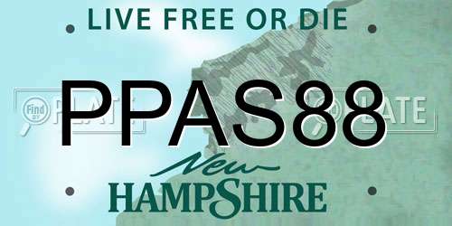 PPAS88 New Hampshire License Plate
