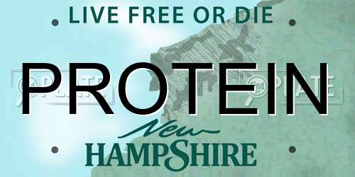 PROTEIN New Hampshire License Plate