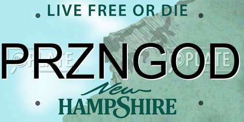 PRZNGOD New Hampshire License Plate