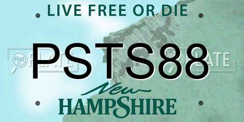 PSTS88 New Hampshire License Plate