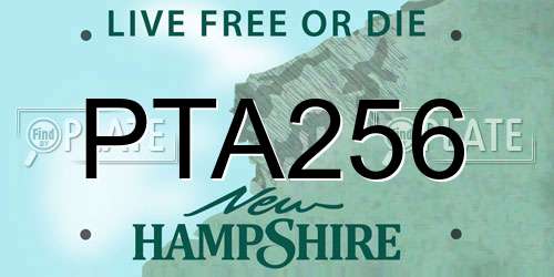 PTA256 New Hampshire License Plate