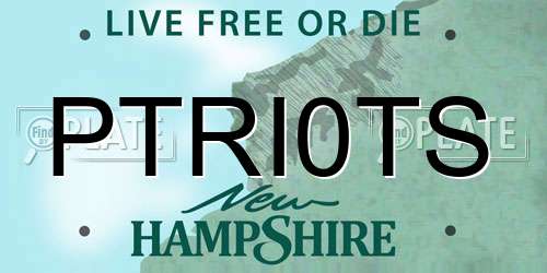 PTRI0TS New Hampshire License Plate