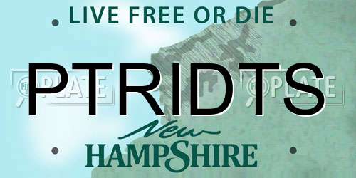 PTRIDTS New Hampshire License Plate