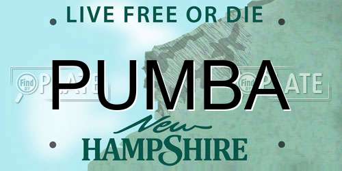 PUMBA New Hampshire License Plate