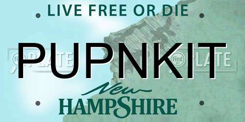 PUPNKIT New Hampshire License Plate