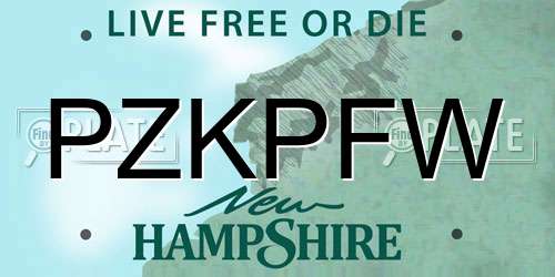 PZKPFW New Hampshire License Plate