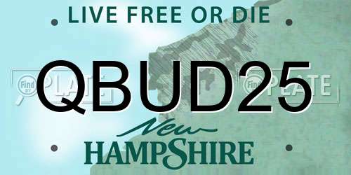 QBUD25 New Hampshire License Plate