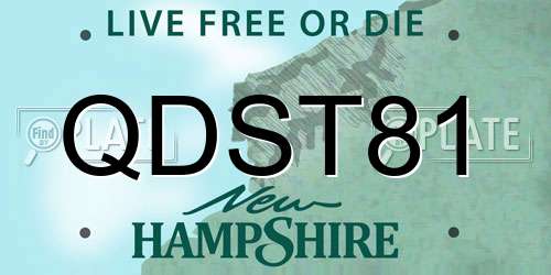 QDST81 New Hampshire License Plate