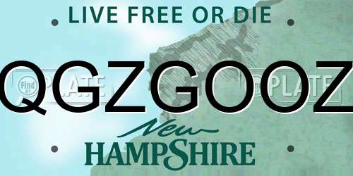 QGZGOOZ New Hampshire License Plate
