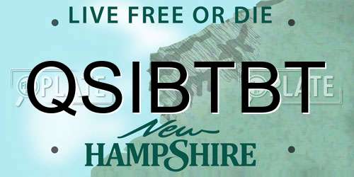QSIBTBT New Hampshire License Plate