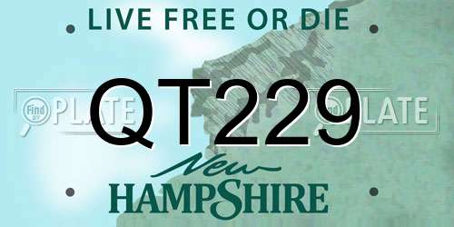 QT229 New Hampshire License Plate