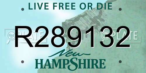 R289132 New Hampshire License Plate