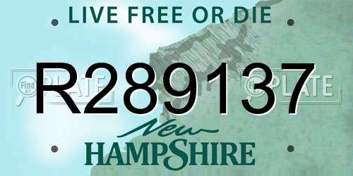 R289137 New Hampshire License Plate