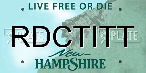 RDCTITT New Hampshire License Plate
